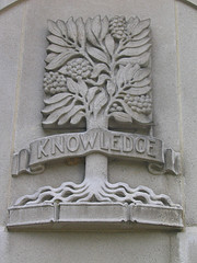 The Tree of Knowledge. By Knilram, via Flickr.